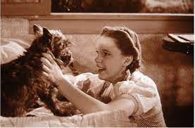 I Guess We’re Not In Kansas&nbsp;Anymore